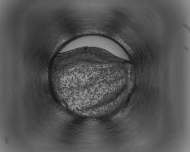 X0000091910207200710031025