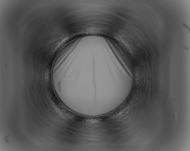 X0000091910208200710031025