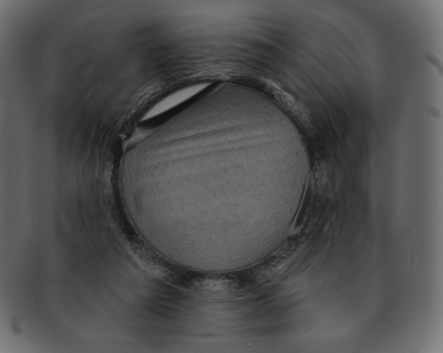 X0000091910209200710031025