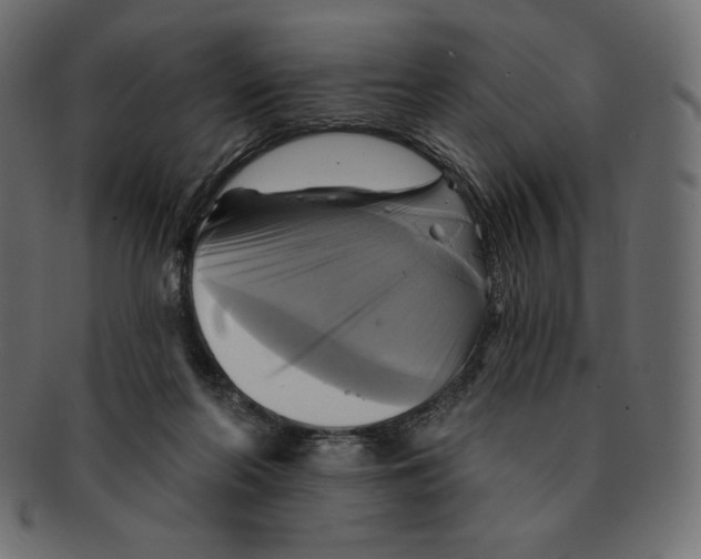 X0000091910214200710031025