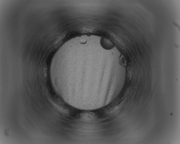 X0000091910215200710031025