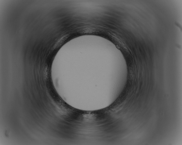 X0000091910216200710031025