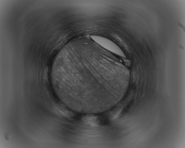 X0000091910217200710031025