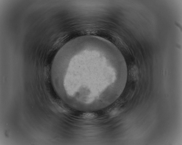 X0000091910218200710031025