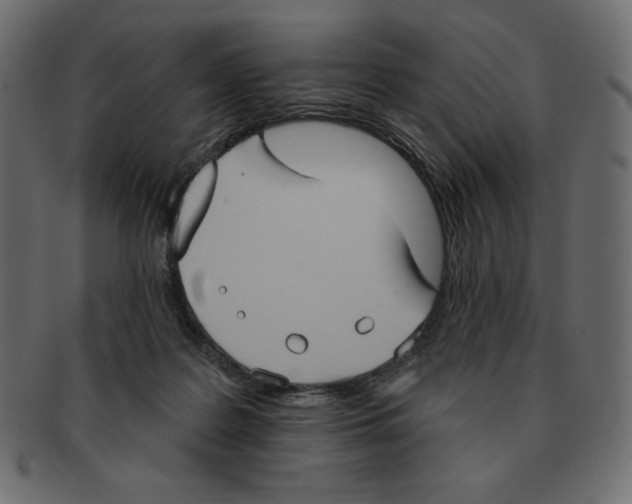 X0000091910219200710031025