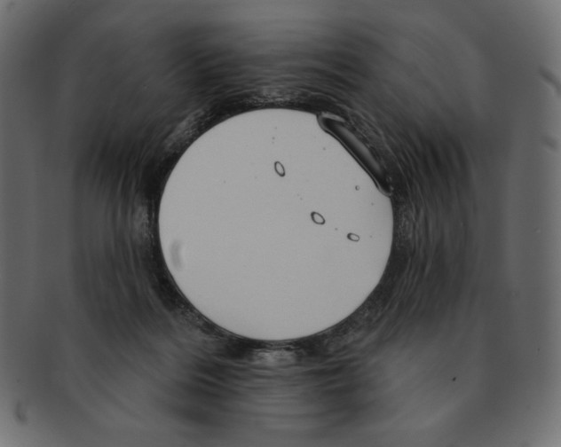 X0000091910220200710031025