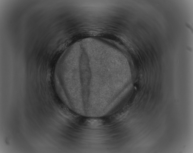 X0000091910221200710031025