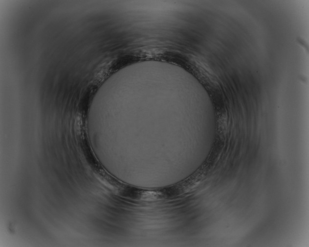 X0000091910222200710031025