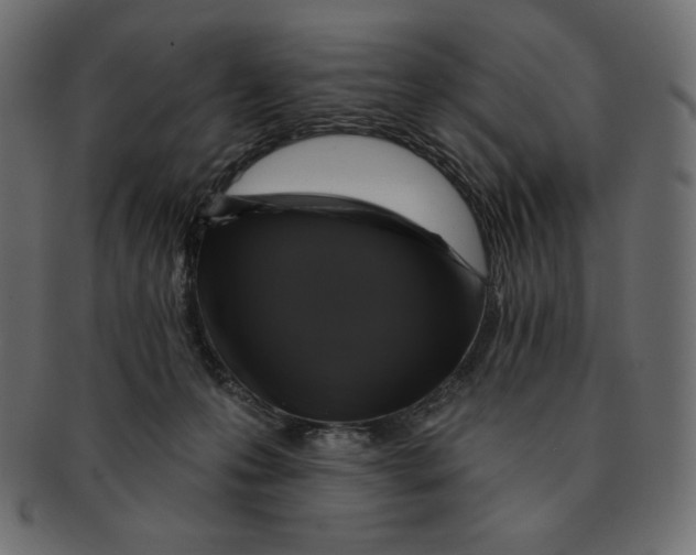 X0000091910223200710031025