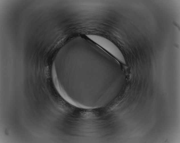 X0000091910224200710031025