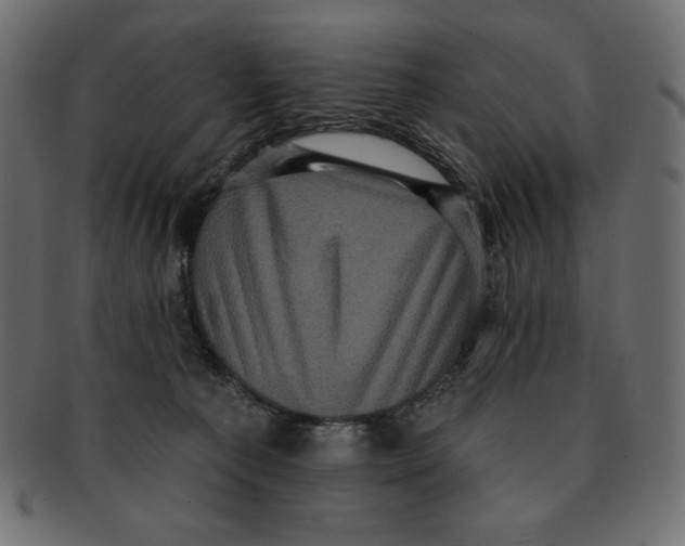 X0000091910225200710031025