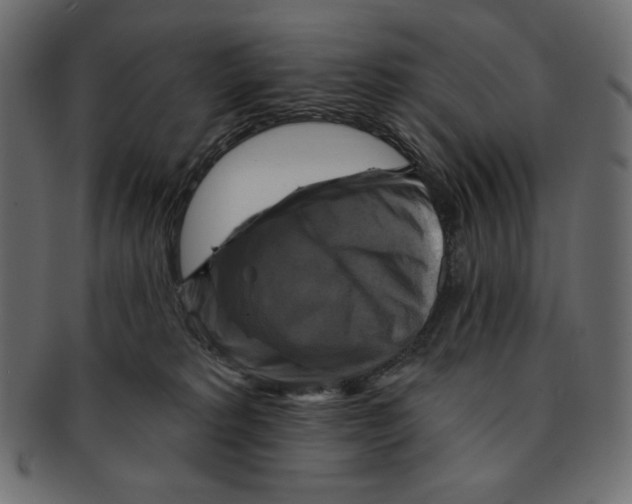 X0000091910229200710031025