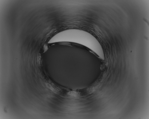 X0000091910231200710031025