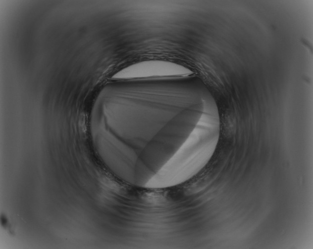 X0000091910232200710031025