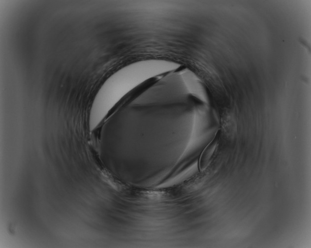 X0000091910233200710031025