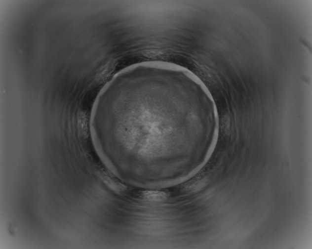 X0000091910234200710031025