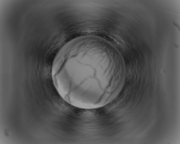 X0000091910236200710031025