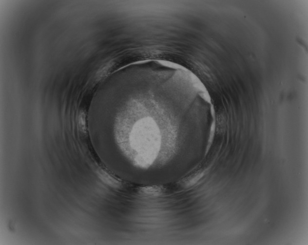 X0000091910238200710031025