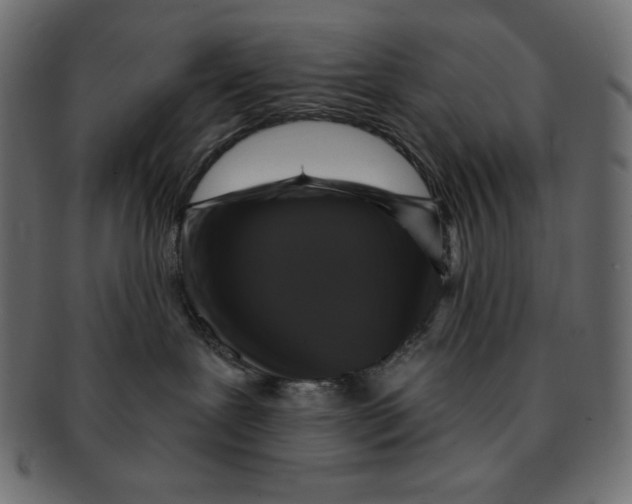 X0000091910239200710031025