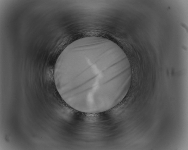 X0000091910240200710031025