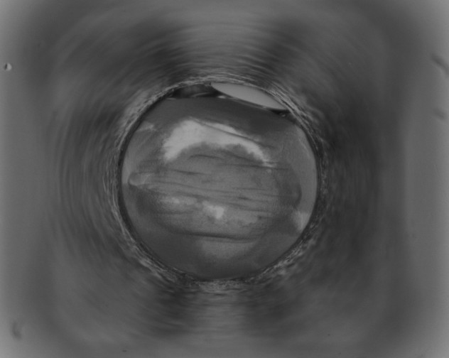 X0000091910241200710031024