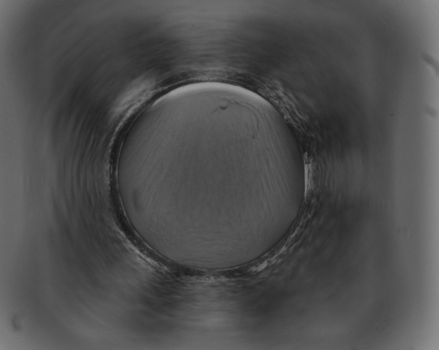 X0000091910243200710031024