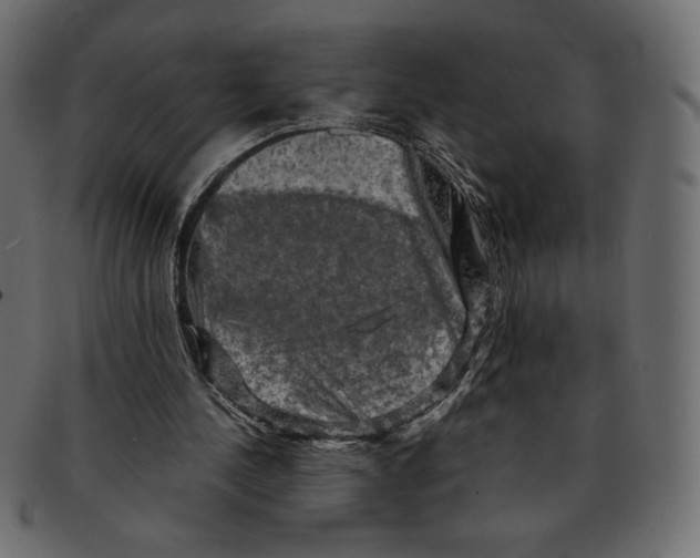 X0000091910244200710031024