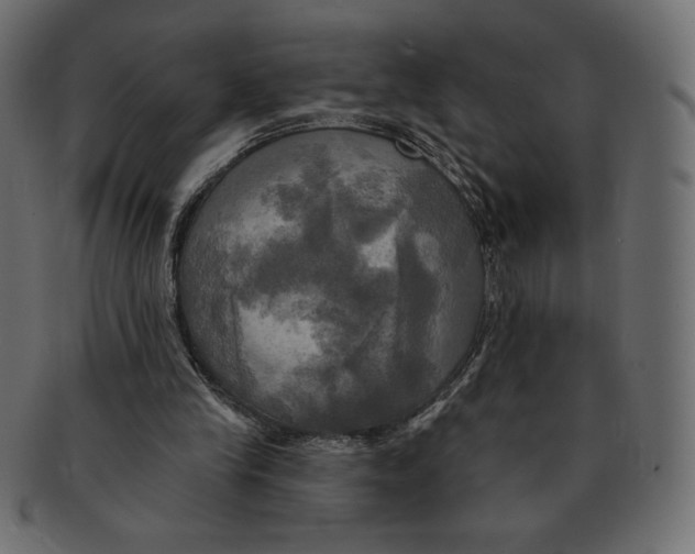 X0000091910245200710031024