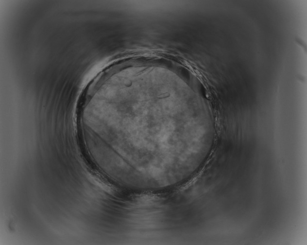 X0000091910246200710031024