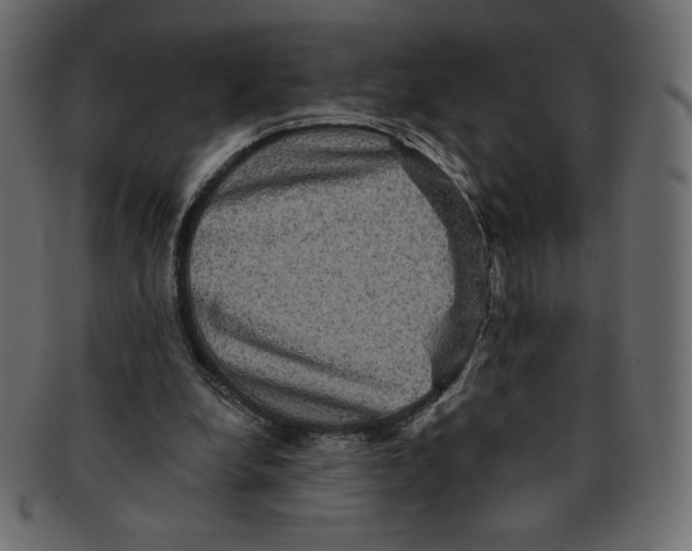 X0000091910248200710031024