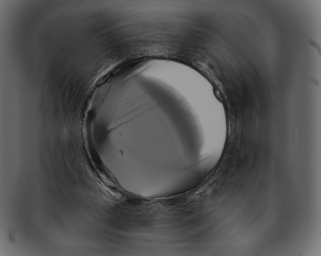 X0000091910249200710031024