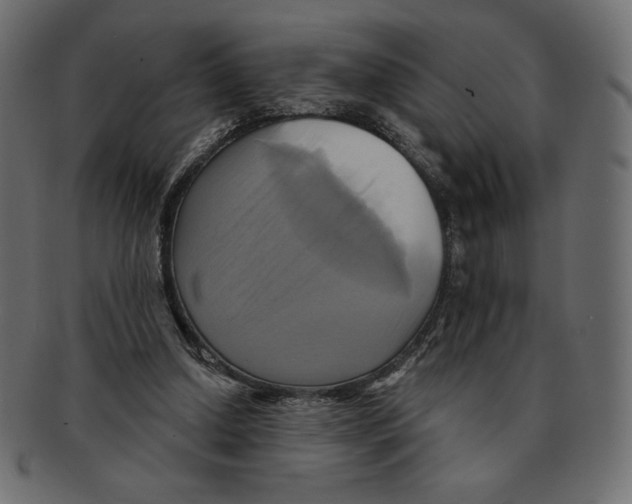 X0000091910250200710031024