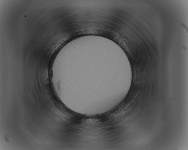 X0000091910251200710031024