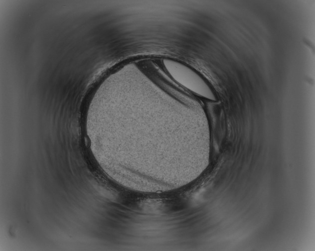 X0000091910252200710031024