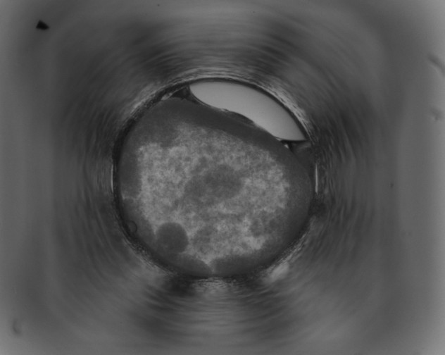 X0000091910253200710031024