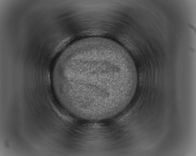 X0000091910254200710031024