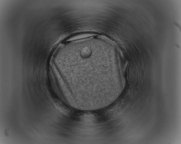 X0000091910256200710031024