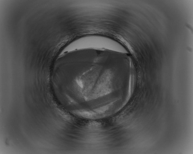 X0000091910257200710031024