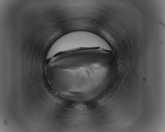 X0000091910258200710031024