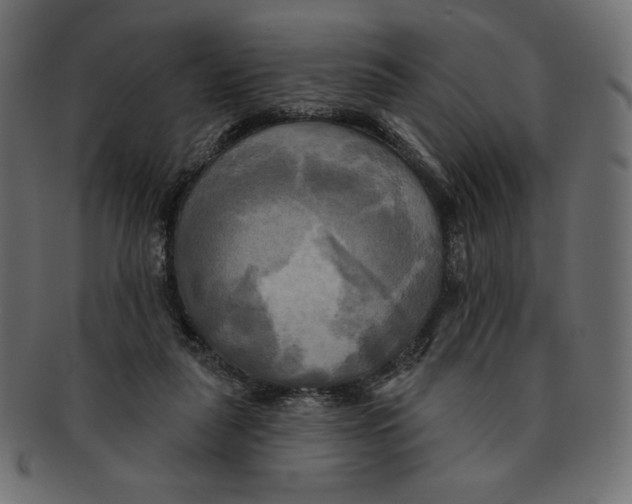 X0000091910259200710031024