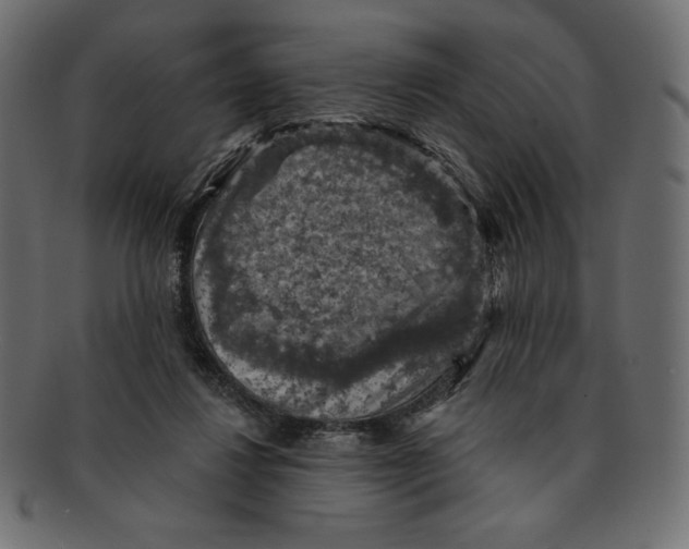 X0000091910260200710031024