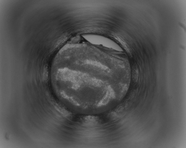 X0000091910261200710031024