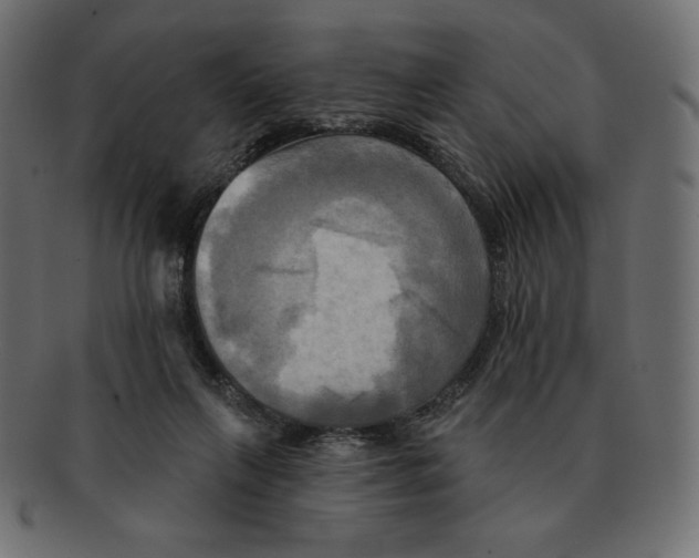 X0000091910263200710031025