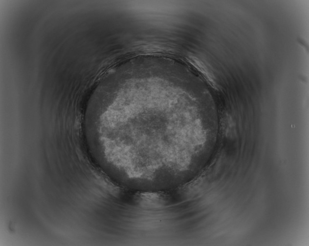 X0000091910265200710031025