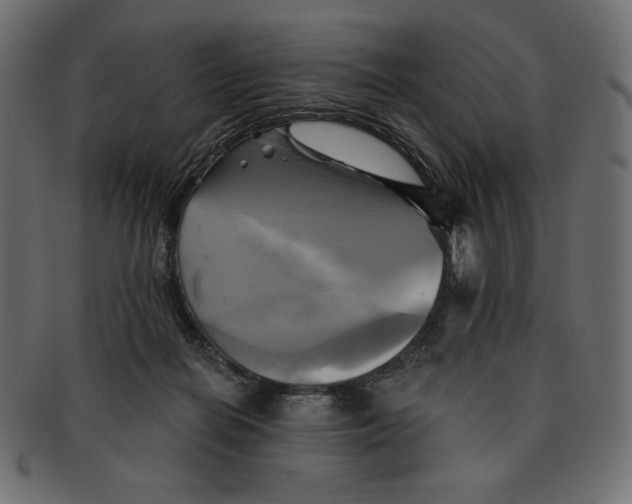 X0000091910266200710031025