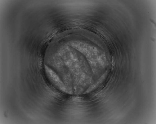 X0000091910268200710031025