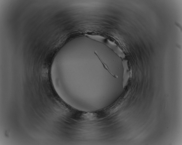 X0000091910269200710031025