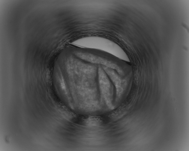 X0000091910270200710031025