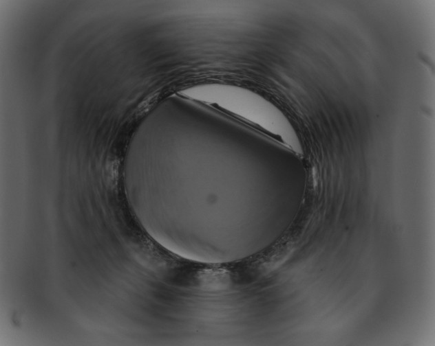 X0000091910271200710031025