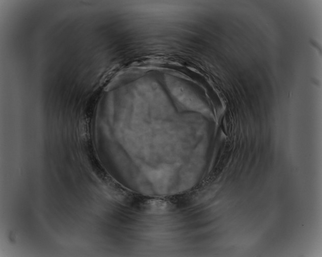 X0000091910272200710031025